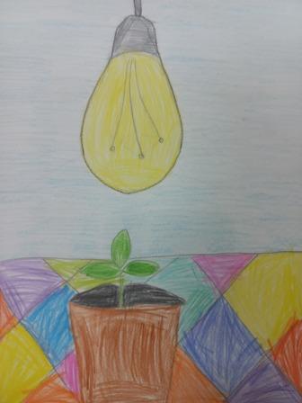 свет для растений