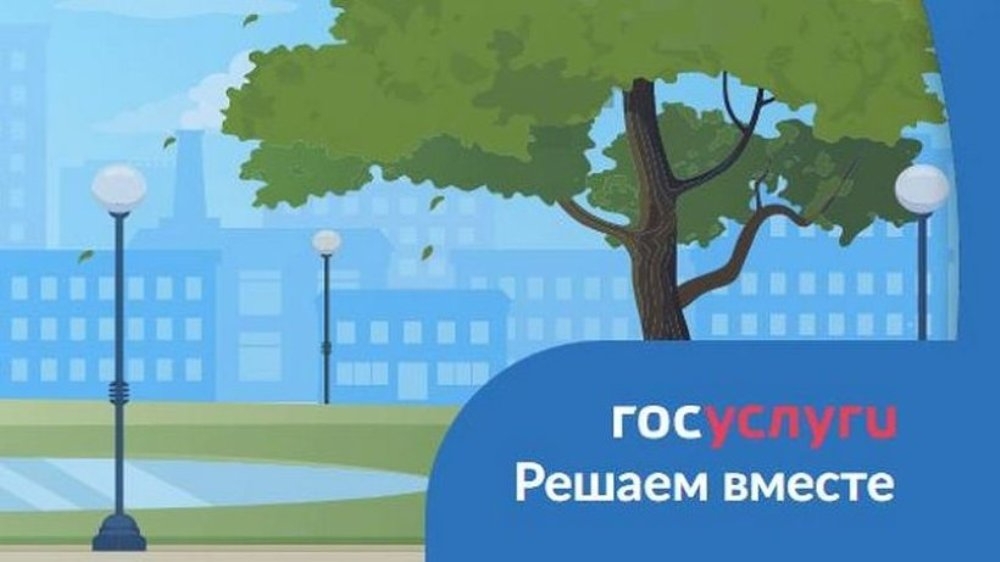 Госуслуги.Решаем вместе