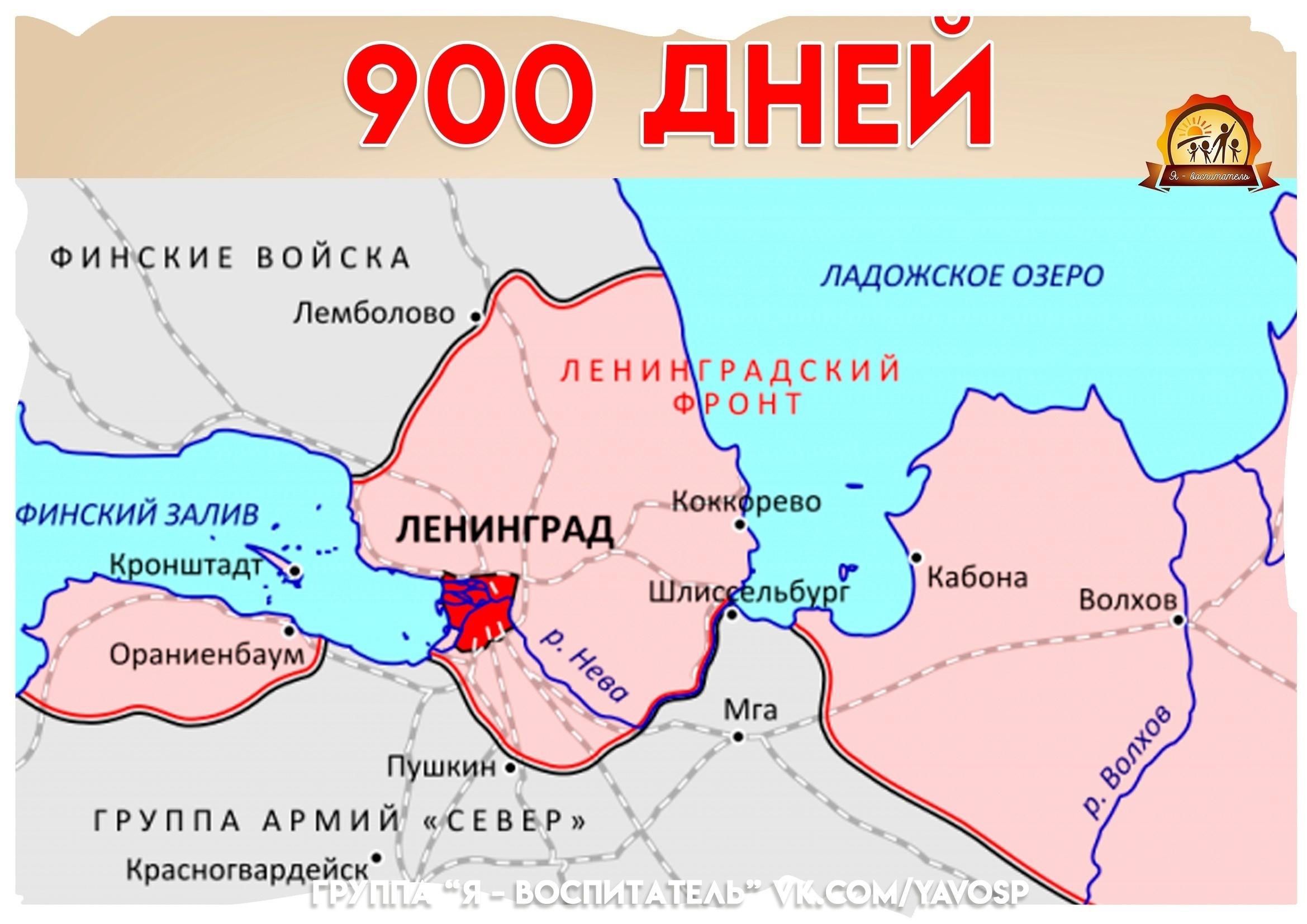 900 дней